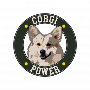Corgi Power